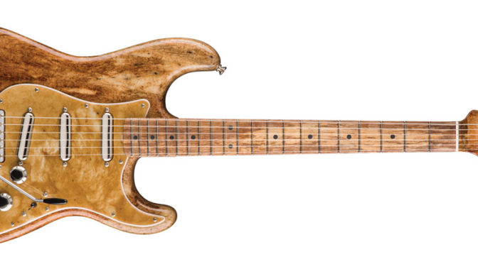 Agave Stratocaster