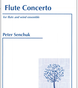 flute concerto cover