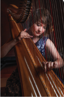 Donations – Houston Harpists